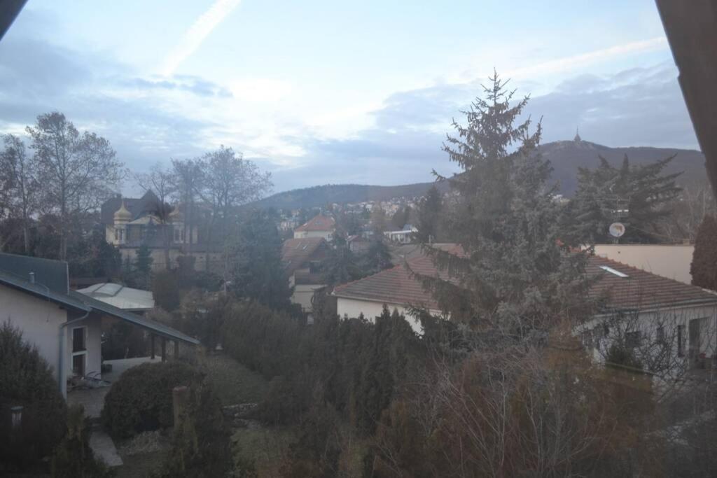 Apartment In Under The Zobor-hill *